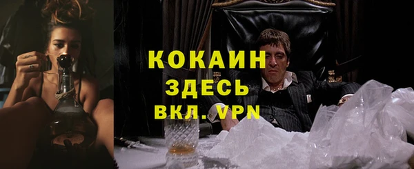 трава Балахна